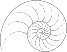 nautilus-shell